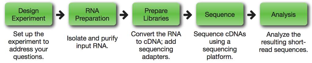 SEKWENCJONOWANIE RNA Przebieg eksperymentu sekwencjonowania RNA-seqlopedia http://rnaseq.uoregon.