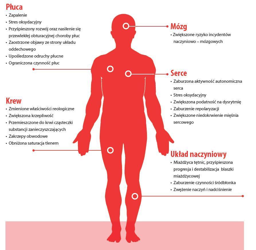 Skutki zdrowotne zanieczyszczeń powietrza Źródło: HEAL 2013