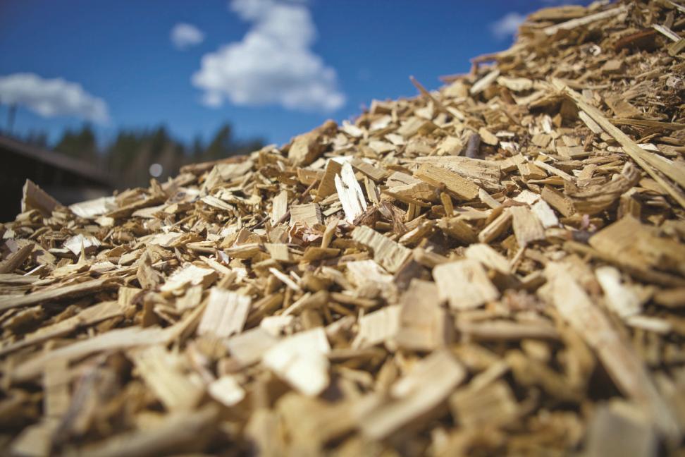 Biomasa w EC Częstochowa Rodzaje biomasy spalanej w EC Częstochowa od 2010 r.