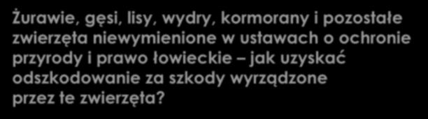 zwierzęta? r.pr.