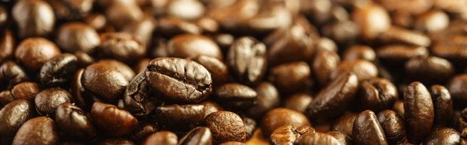 Zdrowa kawa HEALTHY COFFEE 7762 CORDYCEPS WHITE COFFEE STAR, 0 g kawa Arabica 4 w z Cordyceps sinensis 77 7767 CORDYCEPS WHITE COFFEE STAR, 300 g kawa