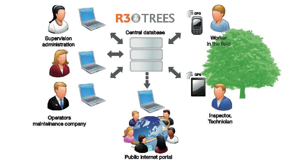3.7.3. Prace terenowe (w tym VTA) i system zarządzania zielenią R3 TREES K. Bajorek-Zydroń, P.