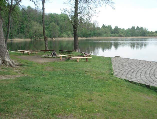 Chodniki o nawierzchni betonowej i z polbruku. 3. Ogrodzenie nieruchomości.