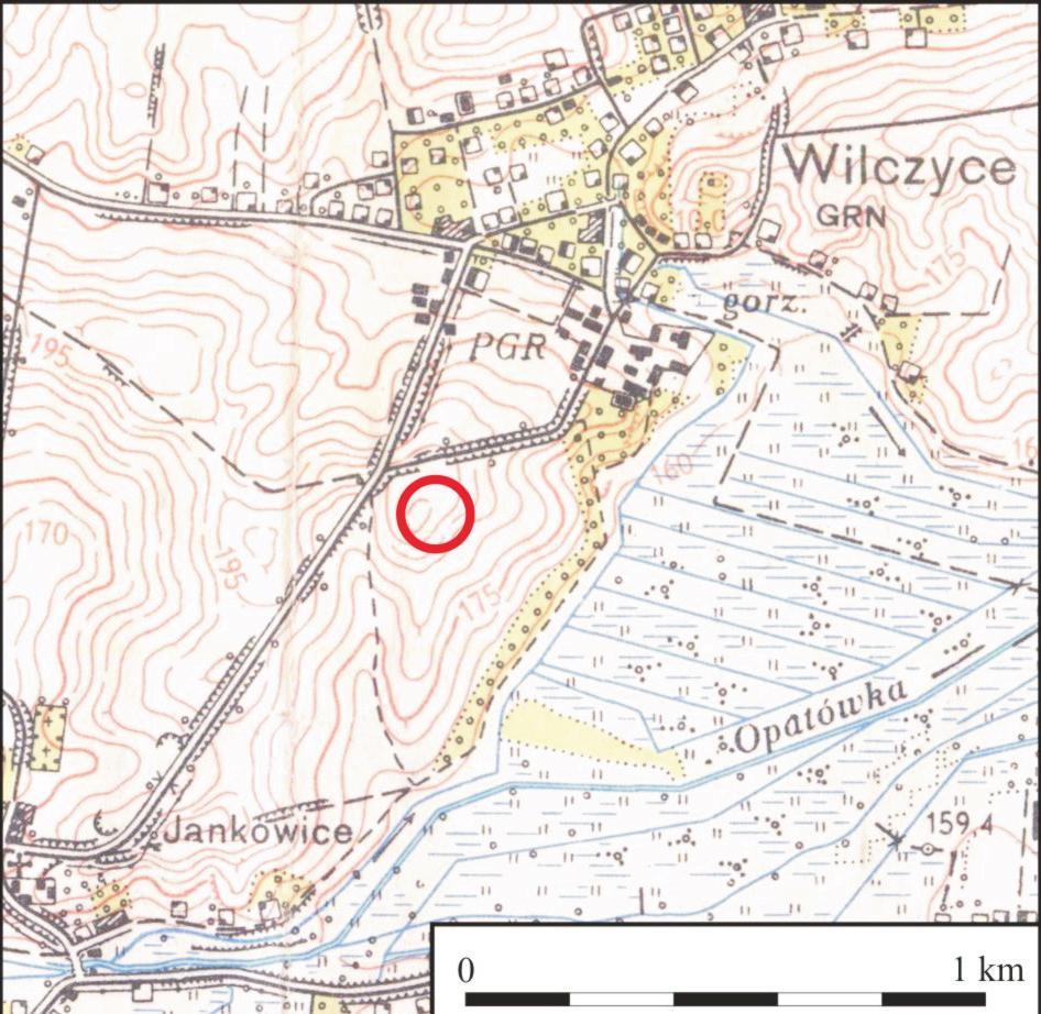Tadeusz Wiśniewski Wilczyce 0 1 km Ryc. 1. Wilczyce, pow. sandomierski, stan. 10. Lokalizacja stanowiska (fragment mapy: Powiat Sandomierz. Województwo kieleckie, skala 1: 25 000.