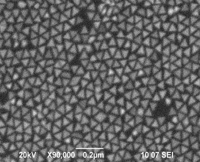 2. Samoorganizacja nanocząstek do zastosowań w SERS. Dlaczego anizotropowe nanocząstki złota? Nanocząstki (NPs, ang.