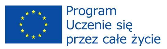 NARODOWA AGENCJA PROGRAMU LEONARDO DA VINCI / KOMISJA EUROPEJSKA SPRAWOZDANIE Z POSTĘPU PRAC ( PROGRESS REPORT ) Numer umowy: Okres ważności Umowy: Okres objęty sprawozdaniem: Tytuł: Beneficjent: