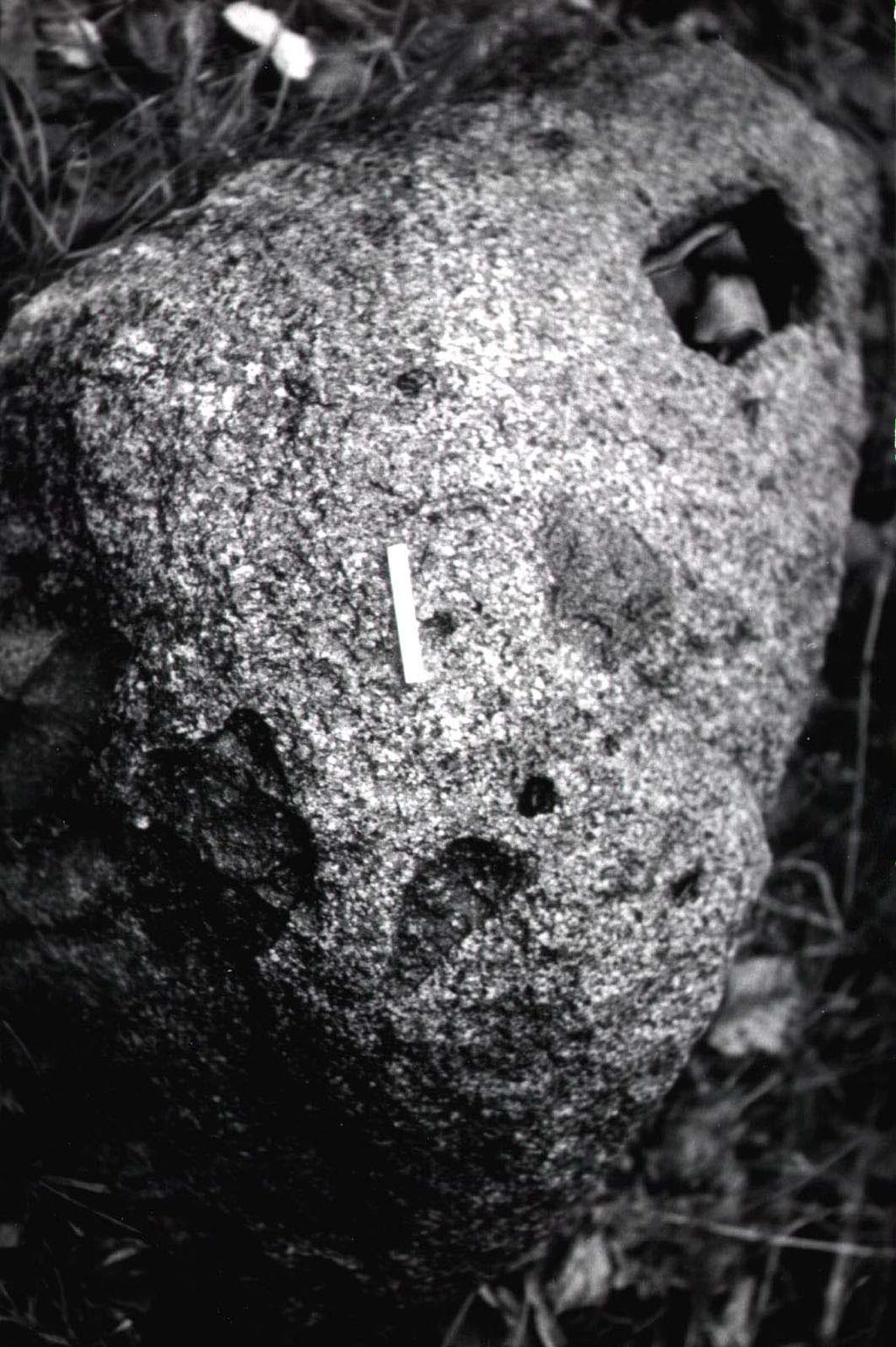 5001-[1e] Fig. K1(c) z [1e]: "Diabelski kamień" z Emilcina.
