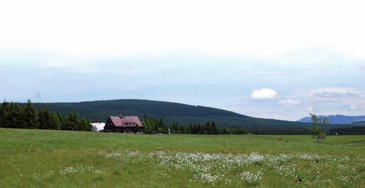 Decyzja o wytyczeniu Głównego Szlaku Sudeckiego zapadła w 1947 roku.