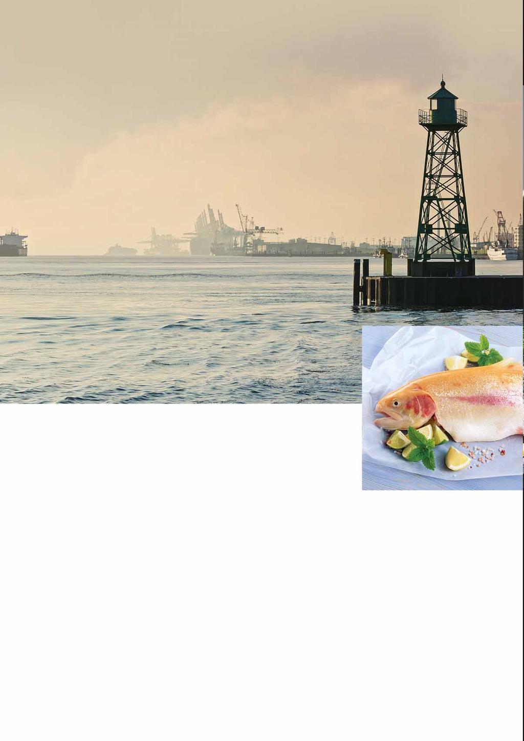 TRANSGOURMET SEAFOOD JAKOŚĆ I ŚWIEŻOŚĆ BEZ KOMPROMISÓW Do Transgourmet Seafood w Bremerhaven trafiają ryby z całego globu, a następnie są dystrybuowane do lokalizacji docelowych.