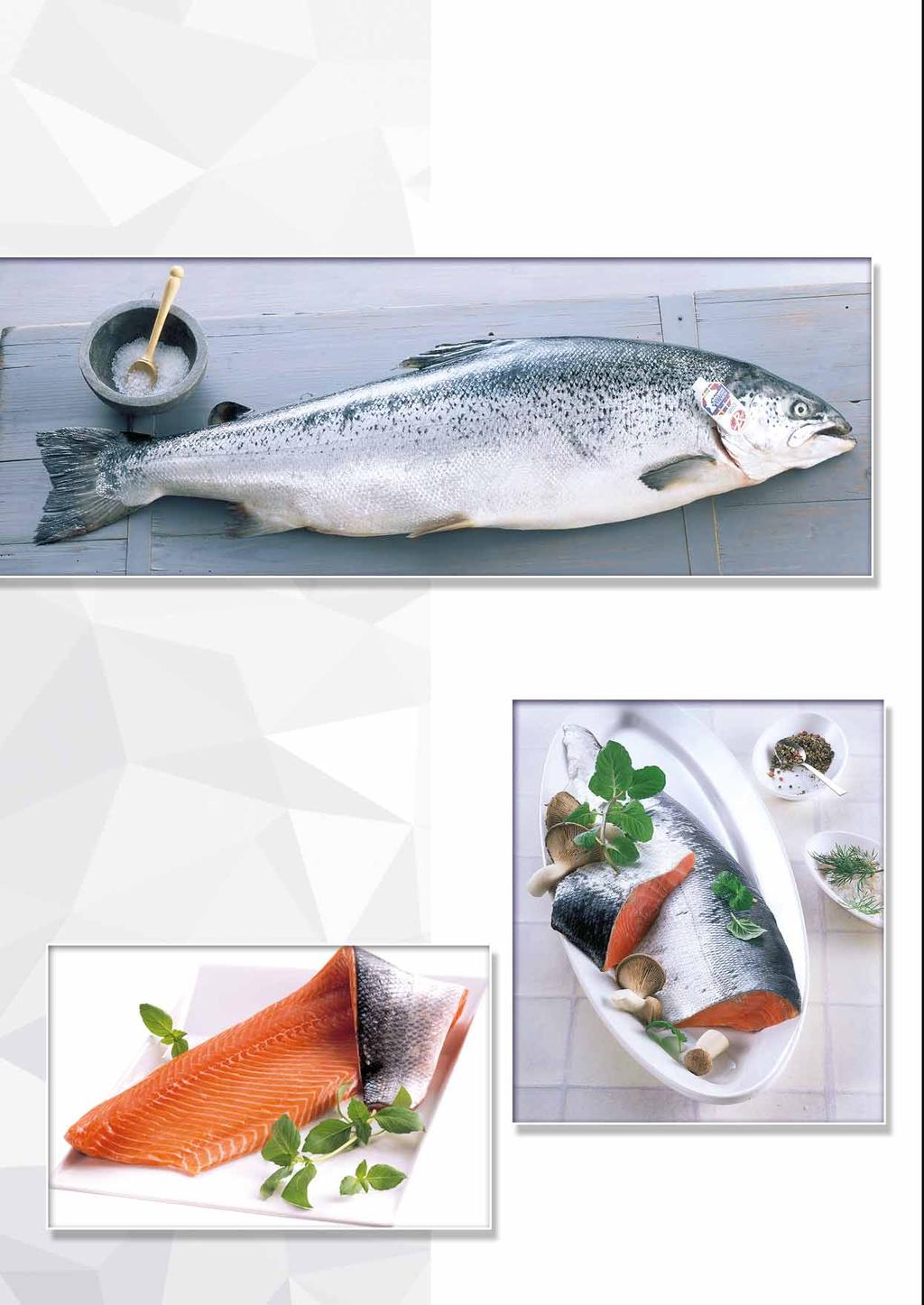 TRANSGOURMET SEAFOOD Label Rouge nowa jakość łososia Label Rouge jest prestiżowym znakiem jakości przyznawanym przez francuskie Ministerstwo Rolnictwa dla produktów wykazujących najwyższą jakość i