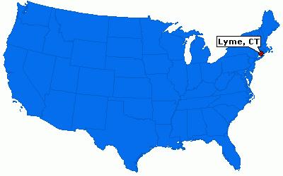 W latach 70-tych XX wieku w okolicach miejscowości Old Lyme (stan Connecticut, USA) pojawiły się liczne przypadki pacjentów z objawami przypominającymi młodzieńcze zapalenie stawów.
