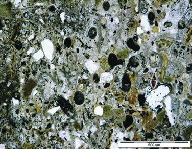 Pomiary wilgotności murów z kazimierskiej opoki wapnistej... 131 Rys. 4. Skład mineralny kamienia (K2) mikroskopia optyczna. Fig. 4. Mineral content of the K2 stone optic microscopy.