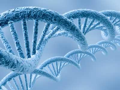 Definicje Białka rekombinowane (ang. recombinant proteins, r-proteins) Białka, które powstały w żywych organizmach (lub liniach komórkowych) w wyniku ekspresji rekombinowanego DNA.