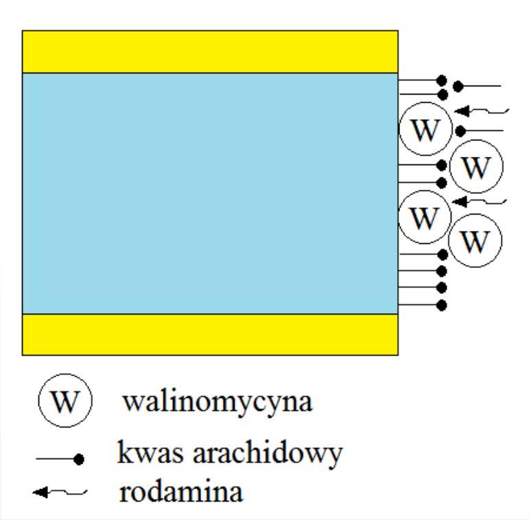 Jonowe sensory optyczne