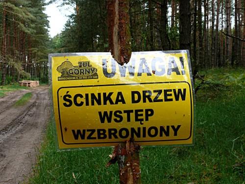 Zadania i umiejętności zawodowe Zabezpiecza miejsca pracy zgodnie z przepisami BHP.