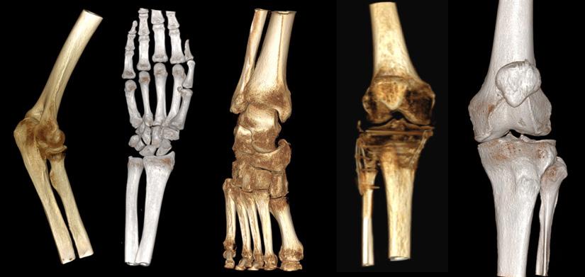 Wniosek Nadejście ery systemów obrazowania CBCT przeznaczonych do unikalnych zastosowań powiązanych z różnymi specjalizacjami klinicznymi stanowi bardzo obiecującą perspektywę.