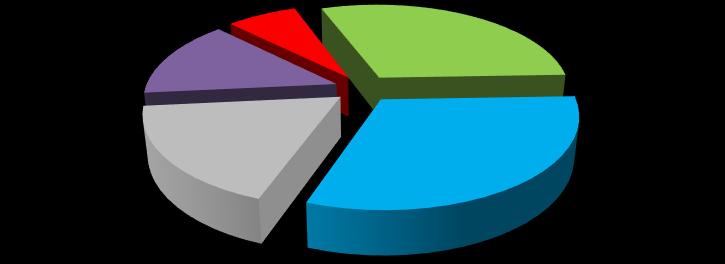 Wykres: Główne źródło utrzymania rodziny 14% 18% 7% brak dochodu 30% 31% inne, niezarobkowe źródło utrzymania emerytura lub renta praca najemna stała praca najemna dorywcza Źródło: opracowanie własne