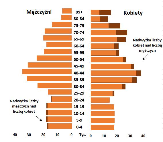 Postępować będzie proces starzenia się społeczeństwa miasta. W 2025 roku najliczniejszym rocznikiem (obecnie są to osoby w wieku 30 34 lat) będzie grupa osób w wieku 40 44 lat.