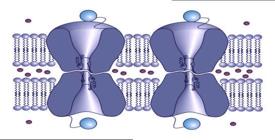 Mediatory komunikacji