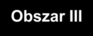 Wykorzystanie systemów informatycznych we współdziałaniu ze społeczeństwem w zarządzaniu miastem Obszar III Dotyczy działań samodzielnych podmiotów gospodarczych i poszczególnych obywateli, gdzie