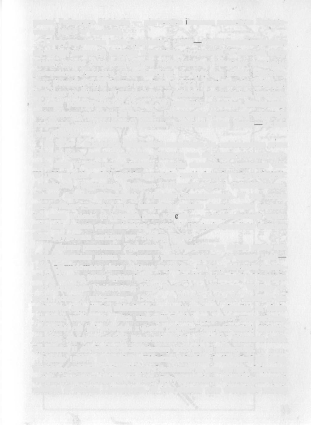 postać Pafnuccgo Sichienia pierwszego ihumena monasteru Zwiastowania NM Р w Supraślu. Czasy panowania króla Zygmunta І (1506-1548) charakteryzowały się ogólną tolerancją religijną w państwie.