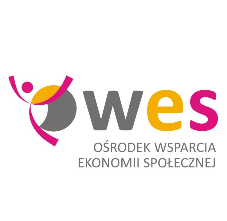 Fundacją Rozwoju Lubelszczyzny projekt Wzmocnienie sektora ekonomii społecznej w subregionie puławskim w ramach Programu Operacyjnego Kapitał Ludzki, Priorytet VII Promocja integracji społecznej,