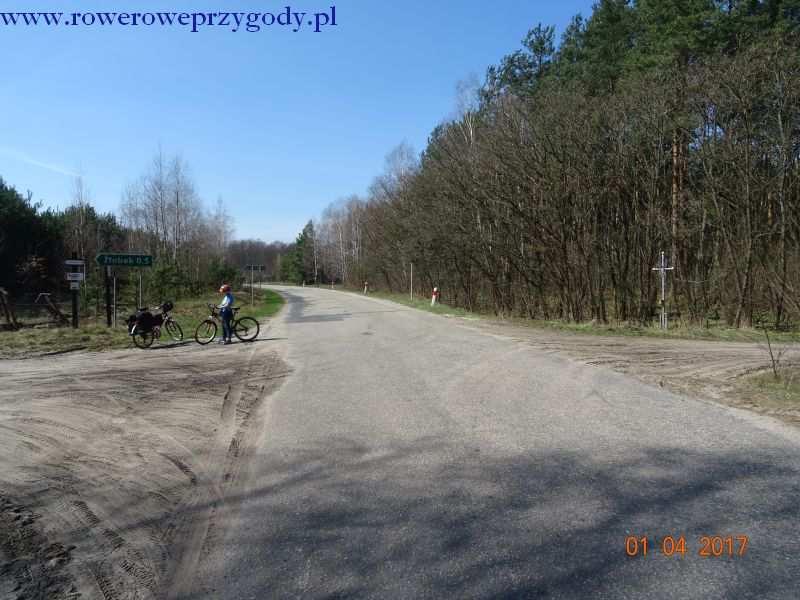 Zdjęcie nr 10 Rozjazd dróg w okolicach miejscowości Żłobek. Dalej podążamy w prawą stronę, drogą leśną, piaszczystą ale umożliwiającą przejazd rowerami.