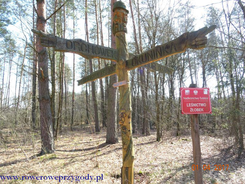 do miejsca, gdzie znajduje się tablica, po prawej stronie drogi, informującą nas że na prawym brzegu pobliskiej rzeczki Tarasienki, możemy zobaczyć całą grupę kopców ziemnych, prawdopodobnie mogił,