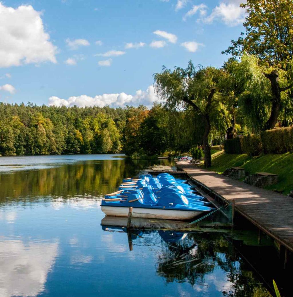 owsa, pszenicy i jęczmienia. Doprawione chmielami Columbus, Citra oraz trawą cytrynową.