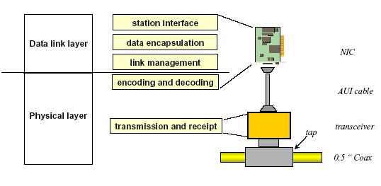 Ethernet Zasady i podstawy działania