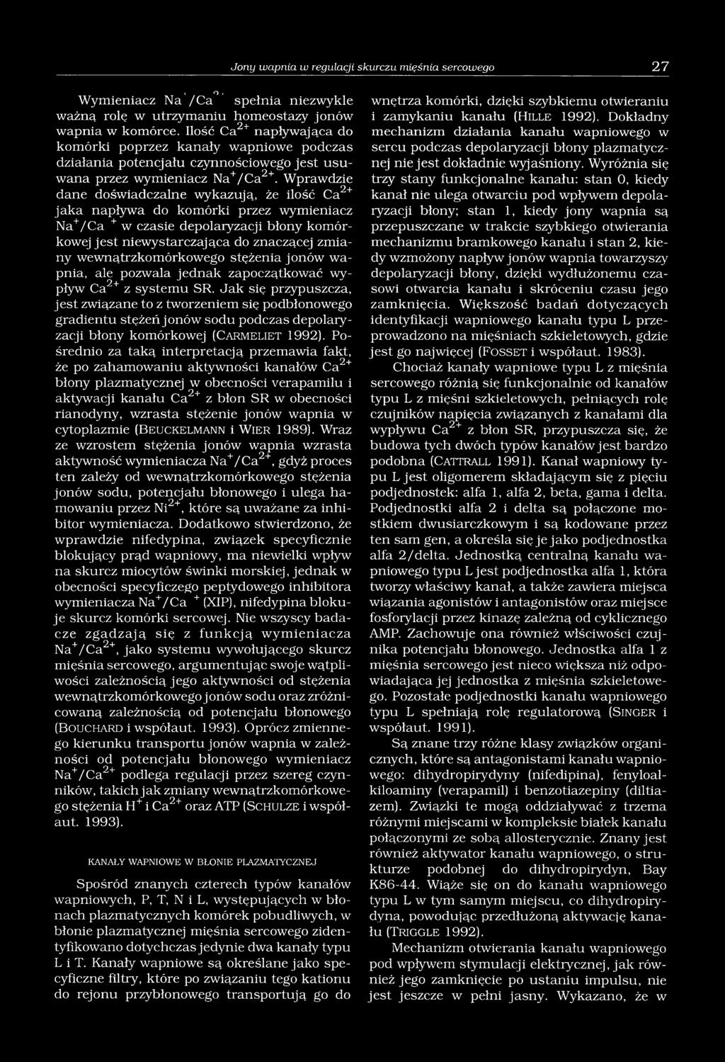 Wprawdzie dane doświadczalne wykazują, że ilość Ca2+ jaka napływa do komórki przez wymieniacz Na+/Ca + w czasie depolaryzacji błony komórkowej jest niewystarczająca do znaczącej zmiany