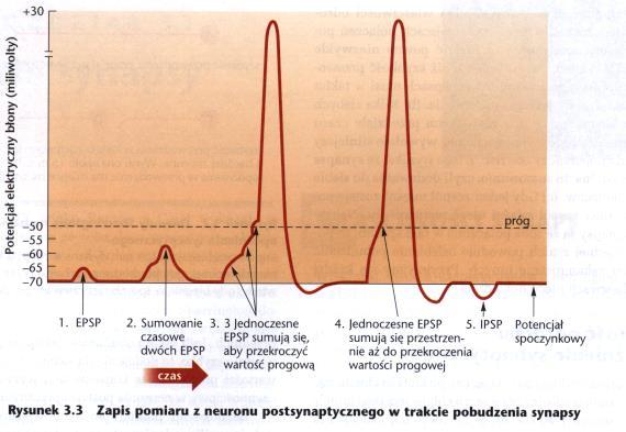 EPSP