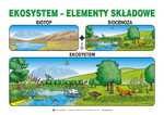 .80 Skóra, włosy, paznokcie plansza dydaktyczna Plansza dydaktyczna o wymiarach 70 x 00 cm, przeznaczona dla szkół, placówek oświatowych i instytucji