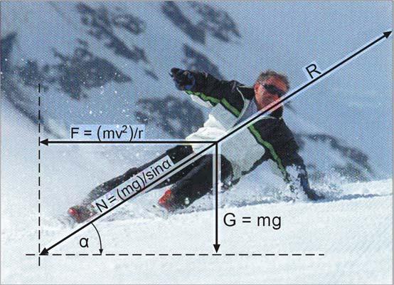 FOTON 96, Wiosna 007 9 ski sęt. Do opisu poruszającego się po łuku narciarza użyjemy bardzo prostego modelu statycznego.