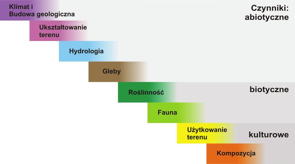 Ł. Dworniczak Ryc. 2.
