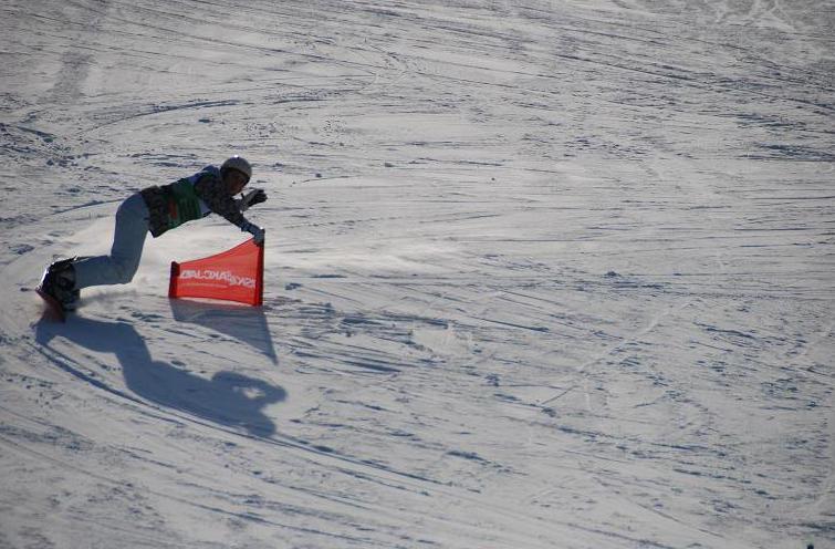 AKADEMICKIE MISTRZOSTWA POLSKI W NARCIARSTWIE W dniach 25.03.2015 r. w Zakopanem odbyły się Akademickie Mistrzostwa Polski w narciarstwie alpejskim. Sklasyfikowanych zostało 43 uczelni wyższych.