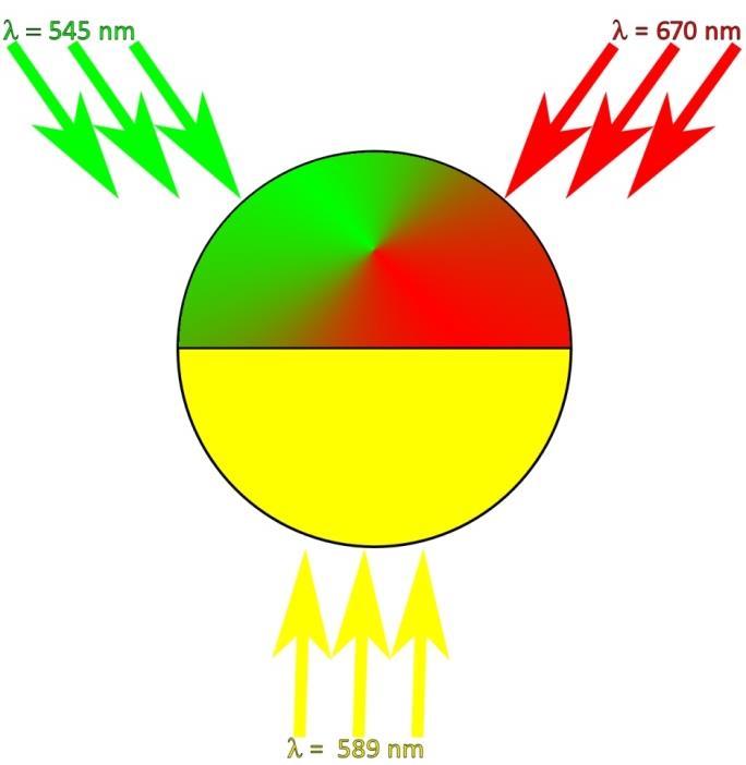 METODY SPEKTRALNE Przykład: anomaloskop Metoda doboru kolorów: Równanie Rayleigha: R+G = Y