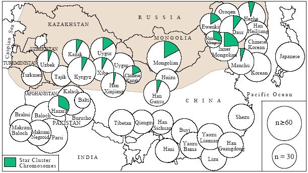 Niedawne zmiany różnorodności Haplotyp Y Star cluster Mongolia ~1,000 (700-1,300) lat temu Obecnie u ~8% mężczyzn