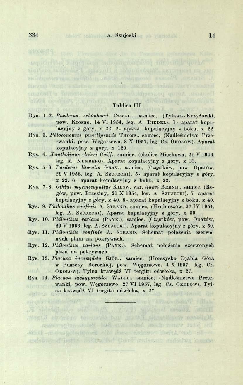 334 A. Szujecki 14 Tablica 1 TT Rys. 1-2. Paederm schónherri C z w a l., samiec, (Tylawa - Krzyżówki, pow. Krosno, 14 Y I 1954, leg. A. R i e d e l ). 1- aparat kopulacyjny z góry, x 22.
