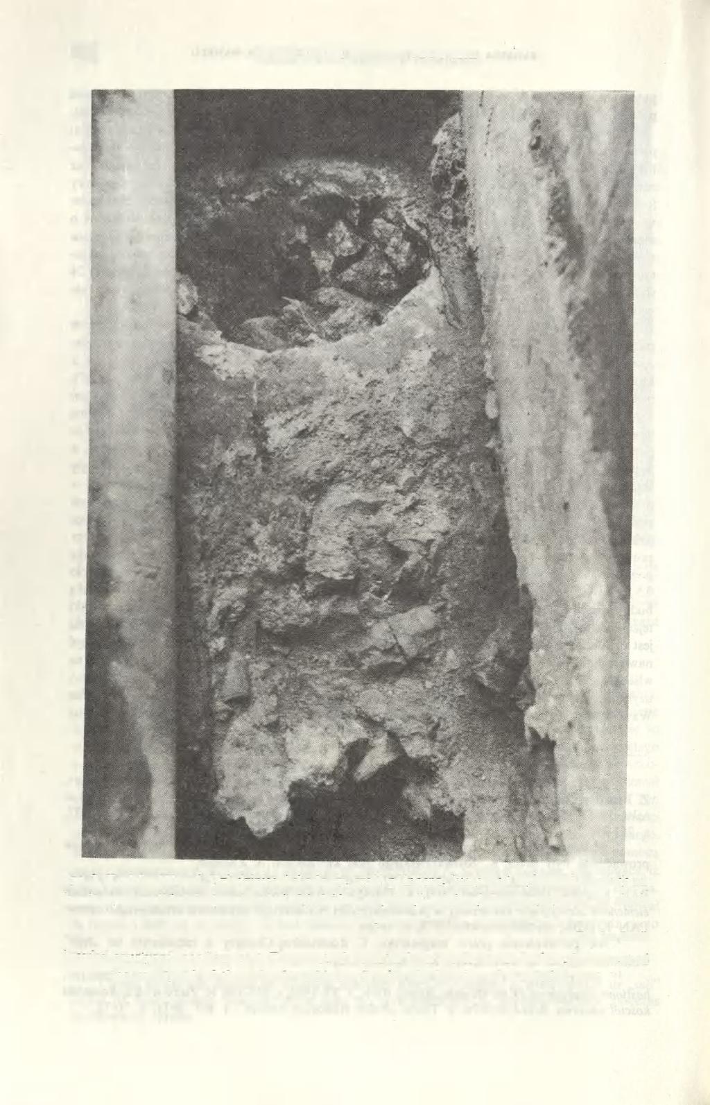 296 JANUSZ FIRLET. ZBIGNIEW PIANOWSKI Ryc. 3. Kraków-Wawel. Dziedziniec Arkadowy, część północna.