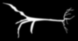 fungicydy insektycydy Myconate HB 60 g herbicydy