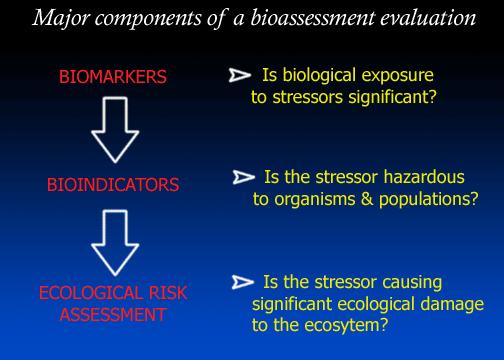 The major components of a bioassessment evaluation are: (1) determine if organisms have been exposed to