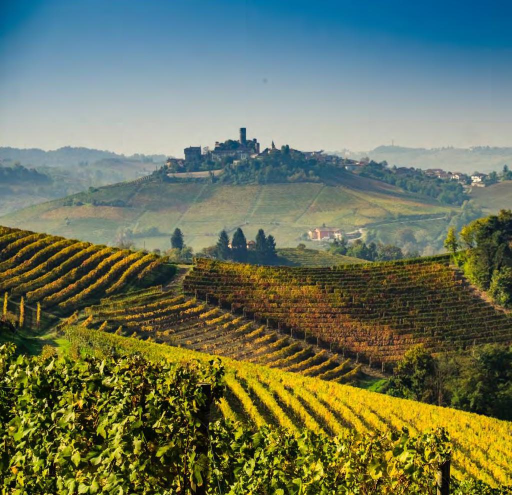 luglio/lipiec 2017 slow food 4 VII 2017 martedì wtorek