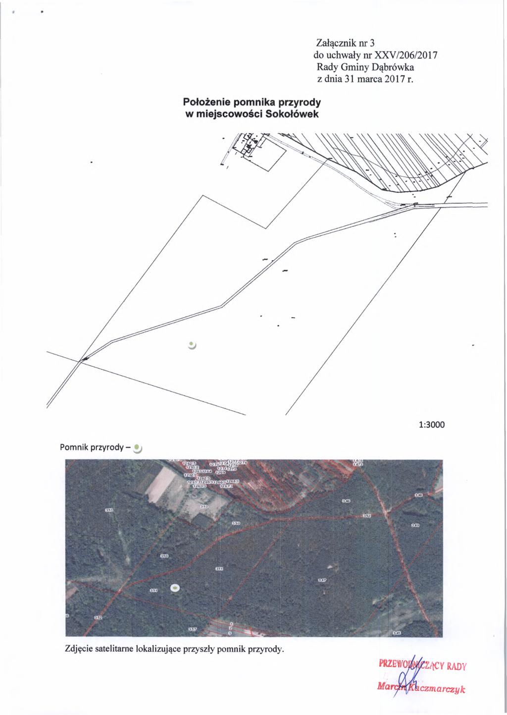 Położenie pomnika przyrody w miejscowości Sokołówek Załącznik nr