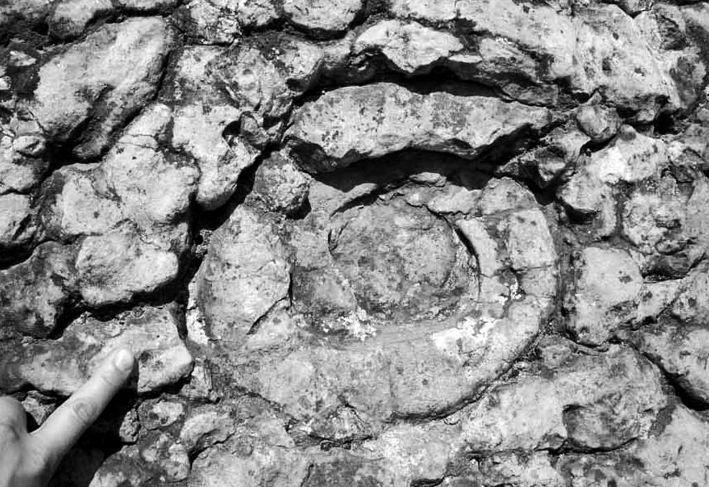 Transgraniczny geopark pieniński jako stymulator rozwoju regionu 51 wierzchnia skalna odsłaniająca się wzdłuż schodów prowadzących na zamek.