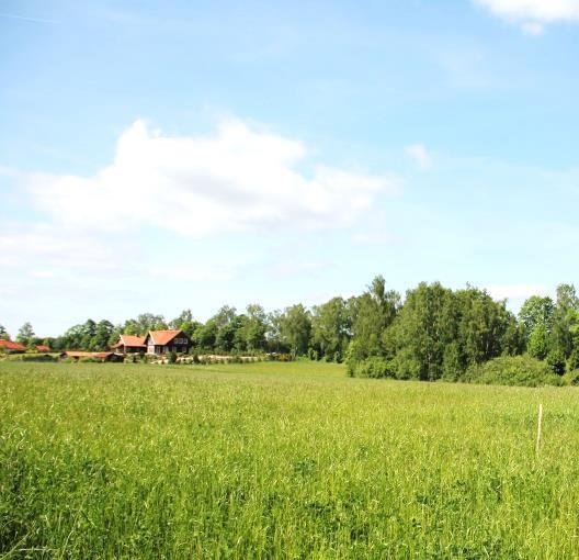 Dogodne położenie nieopodal skrzyżowania dwóch dróg gminnych, na skraju miejscowości Rydzewo oraz Jagodne Wielkie.