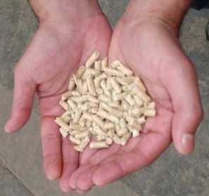 Pellets stabilne paliwo z biomasy: Wystandaryzowane paliwo o znanych parametrach