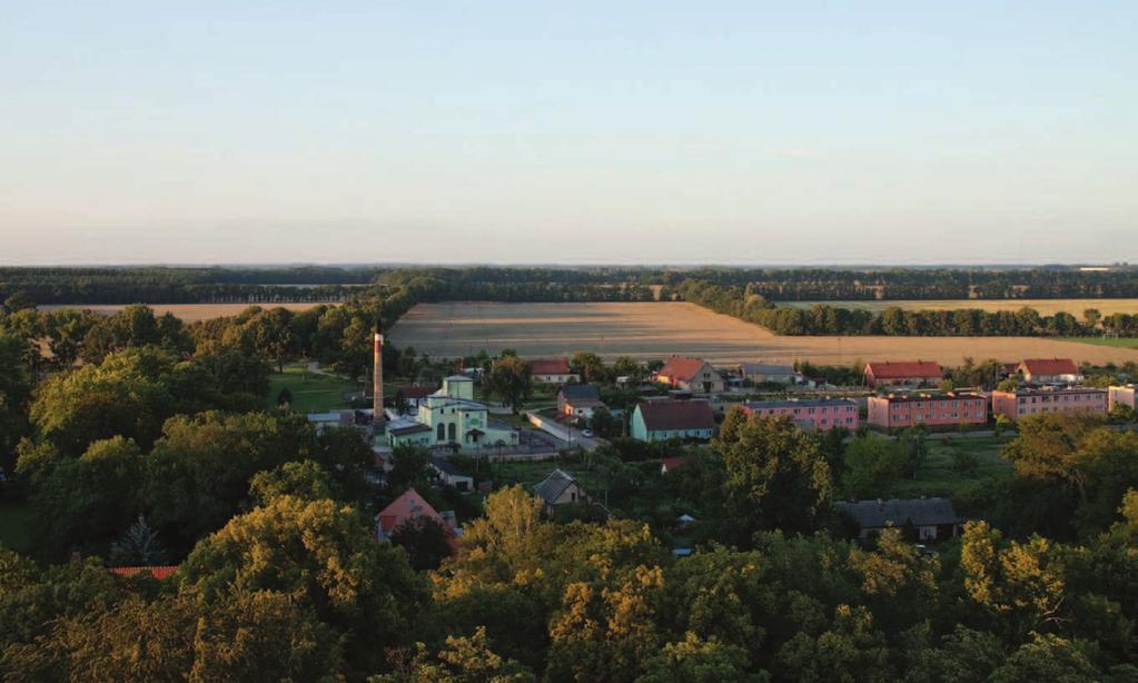 2. Wieś w krajobrazie parkowym 51 Ilustracja 6. Widok na północ. Na pierwszym planie ul. Szkolna, a przy niej stara gorzelnia. Na drugim planie zadrzewienia pasowe założone przez gen.