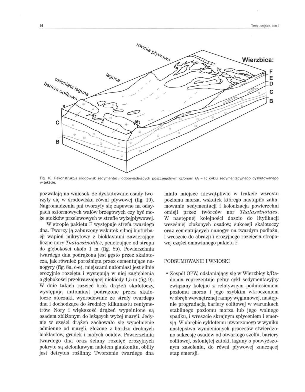 46 Tomy Jurajskie, tom II Fig. 10. Rekonstrukcja środowisk sedymentacji odpowiadających poszczegółnym członom (A - F) cyklu sedymentacyjnego dyskutowanego w tekście.