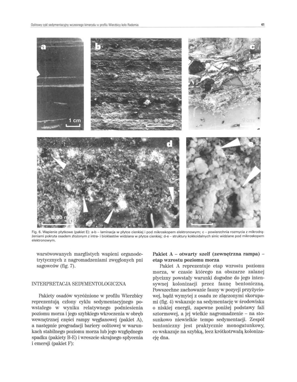 Oolitowy cykl sedymentacyjny wczesnego kimerydu w profilu Wierzbicy kolo Radomia 41.. Fig. 6.
